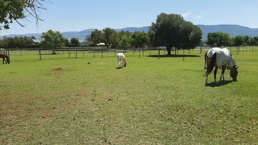 0 Bedroom Property for Sale in WestLake Country Safari Estate North West